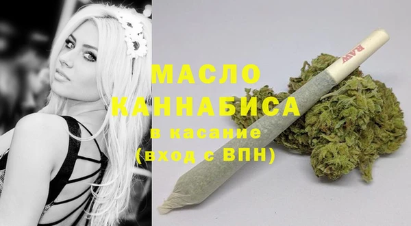 индика Заволжье