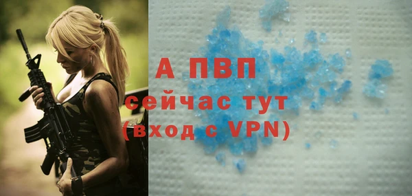 мдпв Елабуга