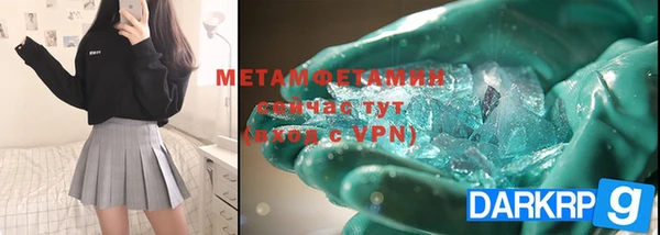 индика Заволжье