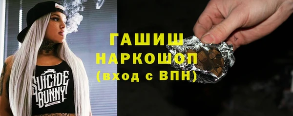 мдпв Елабуга