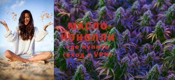 индика Заволжье
