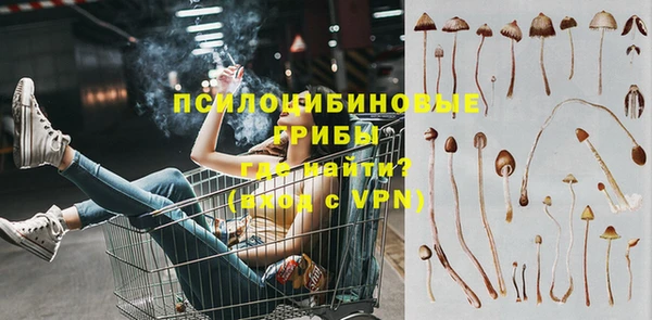 индика Заволжье