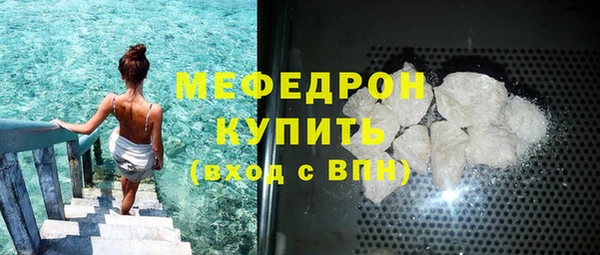 индика Заволжье