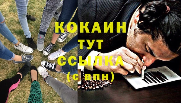 индика Заволжье