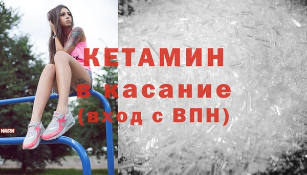 индика Заволжье