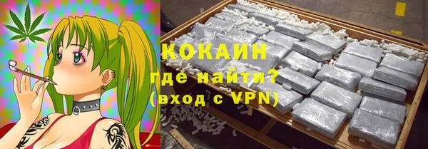 индика Заволжье