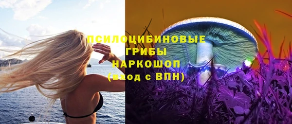 индика Заволжье