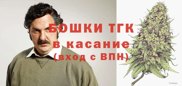 индика Заволжье