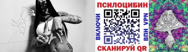 Купить где  Киржач  Псилоцибиновые грибы ЛСД 