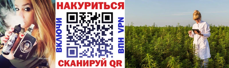 Купить закладки  Киржач  МАРИХУАНА сатива 